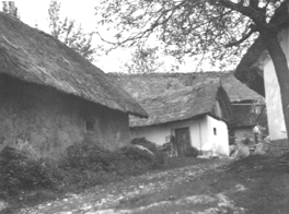 eika image